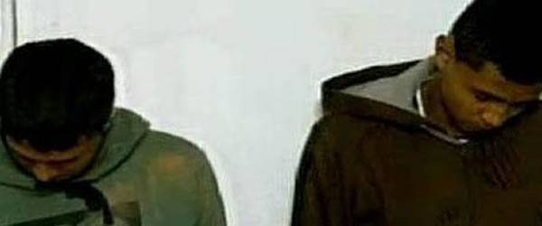 Reprodução</p>...</div>

 

 

<div class=