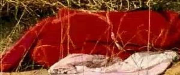 Reprodução / TV Record</p>...</div>

 

 

<div class=