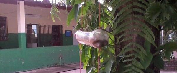 Foto: Arquivo</p>...</div>

 

 

<div class=