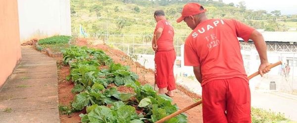 Osvaldo</p>...</div>

 

 

<div class=