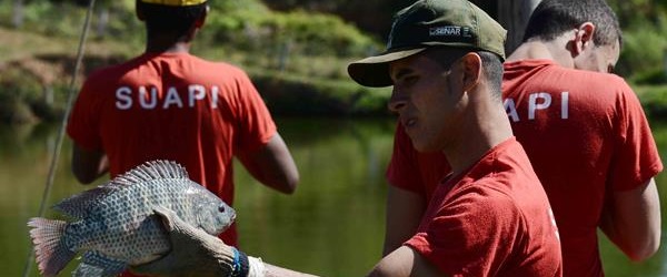 Carlos Alberto/Imprensa MG