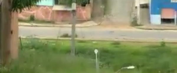 Reprodução</p>...</div>

 

 

<div class=