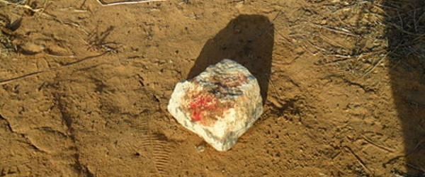 Reprodução /</p>...</div>

 

 

<div class=