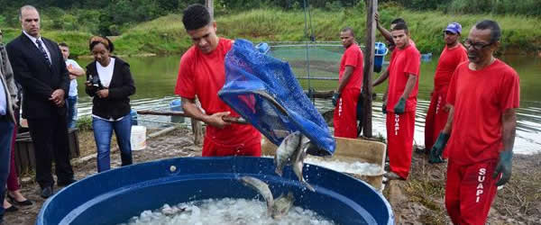 Carlos</p>...</div>

 

 

<div class=