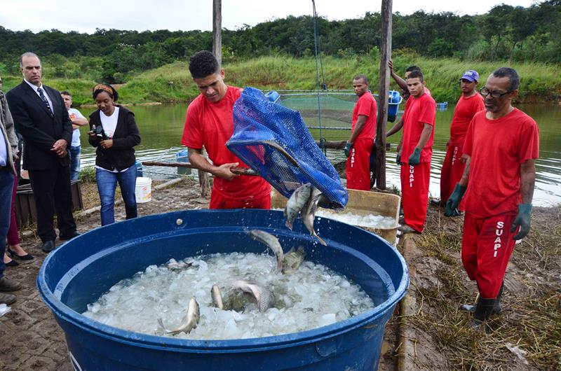 Carlos Alberto/Imprensa MG