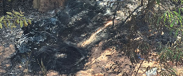 Foto: Ana</p>...</div>

 

 

<div class=