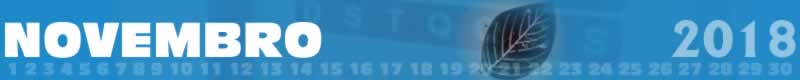 NOVEMBRO